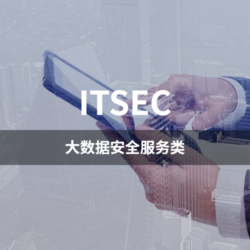 ITSEC-大数据安全服务类