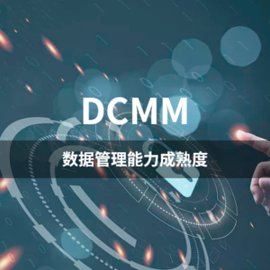 DCMM-数据管理能力成熟度